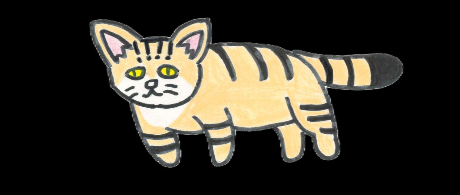 Renのイラスト「スナネコ」。黄色い目をした縞模様のスナネコ。